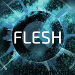 Native Instruments Flesh v1.0.0 free download