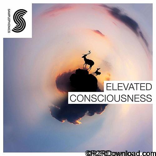 Samplephonics Elevated Consciousness MULTiFORMAT