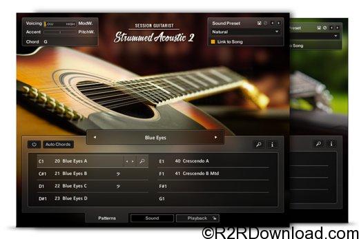 Session Guitarist Strummed Acoustic 2 Free Download Go AudiO Official