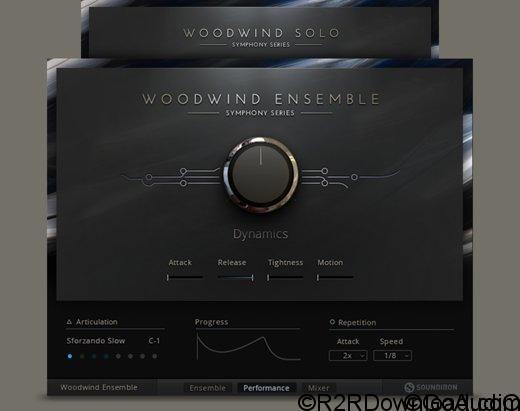 Native Instruments Symphony Series Woodwind Ensemble KONTAKT | Go AudiO ...