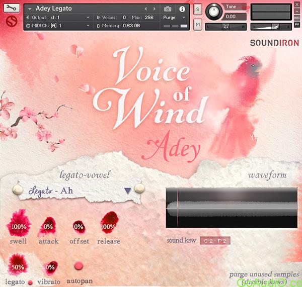 Voice Of Wind: Adey v 1.1 KONTAKT | Go AudiO [Official]