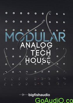 Big Fish Audio Modular: Analog Tech House KONTAKT | Go AudiO [Official]