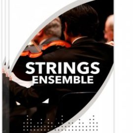 Sonex Audio Strings Ensemble KONTAKT