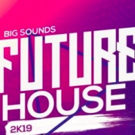 Big Sounds Future House 2K19 WAV MIDi Serum Presets
