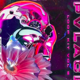 PVLACE Loop Kit Vol 5 WAV