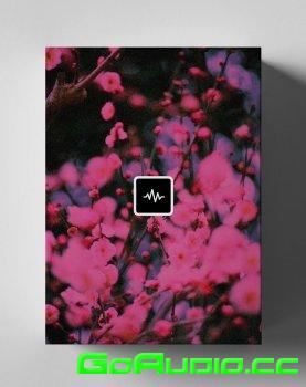 Dez Wright Blossom Loop Kit Wav Go Audio Official