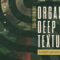 Loopmasters Organic Deep Textures WAV REX