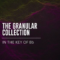 BT The Granular Collection In The Key Of Bb WAV