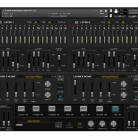 Castle Instruments SEIKO DS-250 KONTAKT