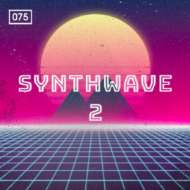 Bingoshakerz Synthwave Vol 2 MULTiFORMAT
