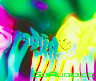 Splitmind Vol 1 Loop Kit WAV | Go AudiO [Official]