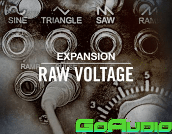 Native Instruments Raw Voltage v2.0.0 (WIN-MAC) | Go AudiO [Official]