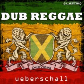 Ueberschall Dub Reggae ELASTIK