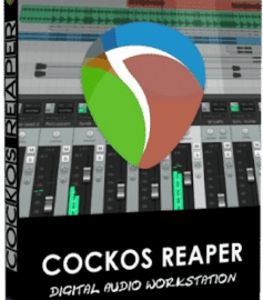 Cockos REAPER v6.37 (MacOS)