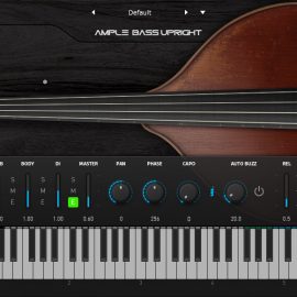 Ample Sound Ample Bass Upright v3.5 [WIN+MAC]