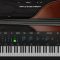 Ample Sound Ample Bass Upright v3.5 [WIN+MAC]