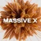 Native Instruments Massive X v1.4.5 [WIN]