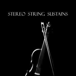 Beautiful Void Audio Stereo String Sustains for Kontakt