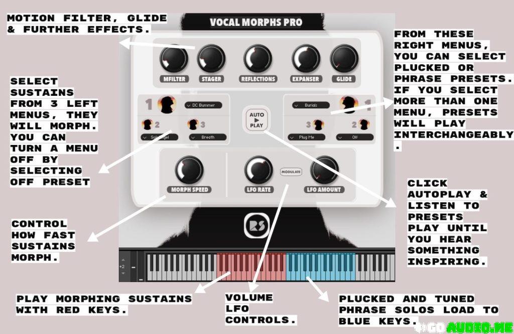 Rast Sounds Vocal Morphs Pro KONTAKT | Go AudiO [Official]