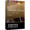 SONiVOX Singles Session Drums 1 v1.0.0.2022-R2R