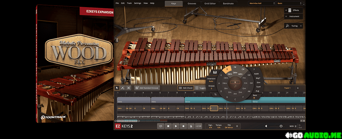 Protected: Toontrack MELODIC PERCUSSION – WOOD EKX