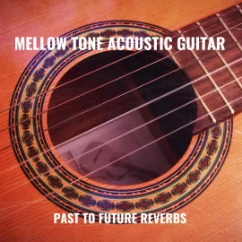 PastToFutureReverbs Mellow Tone Acoustic Guitar For Kontakt! KONTAKT