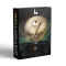 Blecks Audio Distinction (KONTAKT)