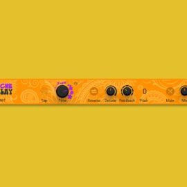 Native Instruments Psyche Delay 1.3.3 [macOS]