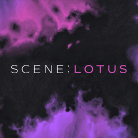 Native Instruments Scene Lotus v1.1.0 KONTAKT