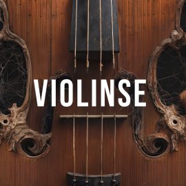 Steinberg Violinse for Padshop 2