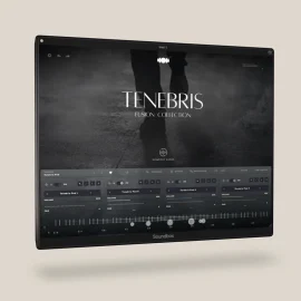 Kompose Audio Tenebris Soundbox iNTERNAL