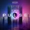 Sonuscore The Pulse KONTAKT