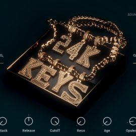 Native Instruments 24K Keys KONTAKT