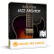 Orange Tree Samples Evolution Jazz Archtop v1.2.5 KONTAKT