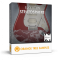 Orange Tree Samples Evolution Stratosphere v1.2.5 KONTAKT