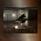 AIR Music Technology Stage Piano v1.2.1.14 [WIN]