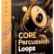 Mercurial Tones Core Percussion Loops WAV