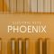 Native Instruments Electric Keys Phoenix v1.1.0 KONTAKT