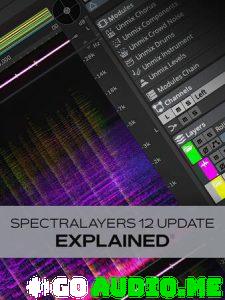Groove3 SpectraLayers 12 Update Explained TUTORiAL | Go AudiO [Official]