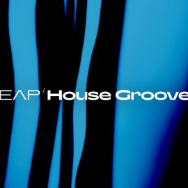 Native Instruments Leap House Grooves v1.0.0 KONTAKT