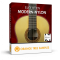 Orange Tree Samples Evolution Modern Nylon v1.3.0 KONTAKT
