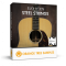 Orange Tree Samples Evolution Steel Strings v1.3.0 KONTAKT