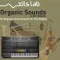 XILS-lab Organic Sounds by Nori Ubukata for Xils-lab The Eighty