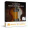 Orange Tree Samples Evolution Vintage Violin Bass v1.3.0 KONTAKT