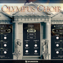 Steinberg Olympus Choir Micro-R2R