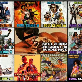 Dave Zeke Soul Clinic Volumes 1-10 BUNDLE (300 Prechopped Samples) WAV