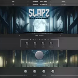 Diamond Loopz Slapz 2 VST RETAiL [WiN/OSX]