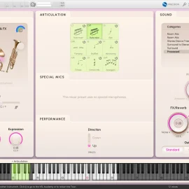 VSL Big Bang Orchestra Tutti v1.1 for Synchron Player-R2R