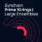 Vienna Symphonic Library – Synchron Prime Strings I (VSL Synchron Player)