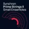 Vienna Symphonic Library – Synchron Prime Strings II (VSL Synchron Player)
